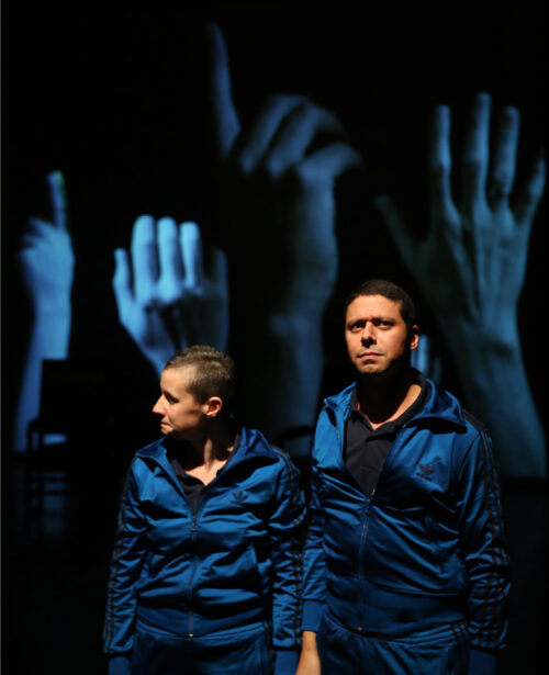 Les Deux Frères et les Lions